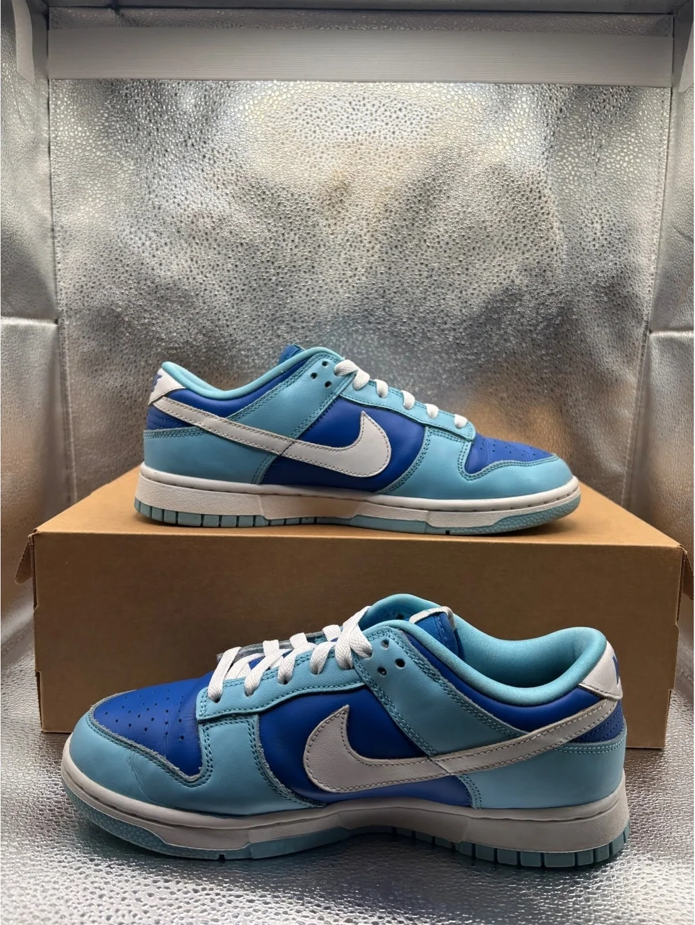 Nike dunk low retro QS argon 2022
